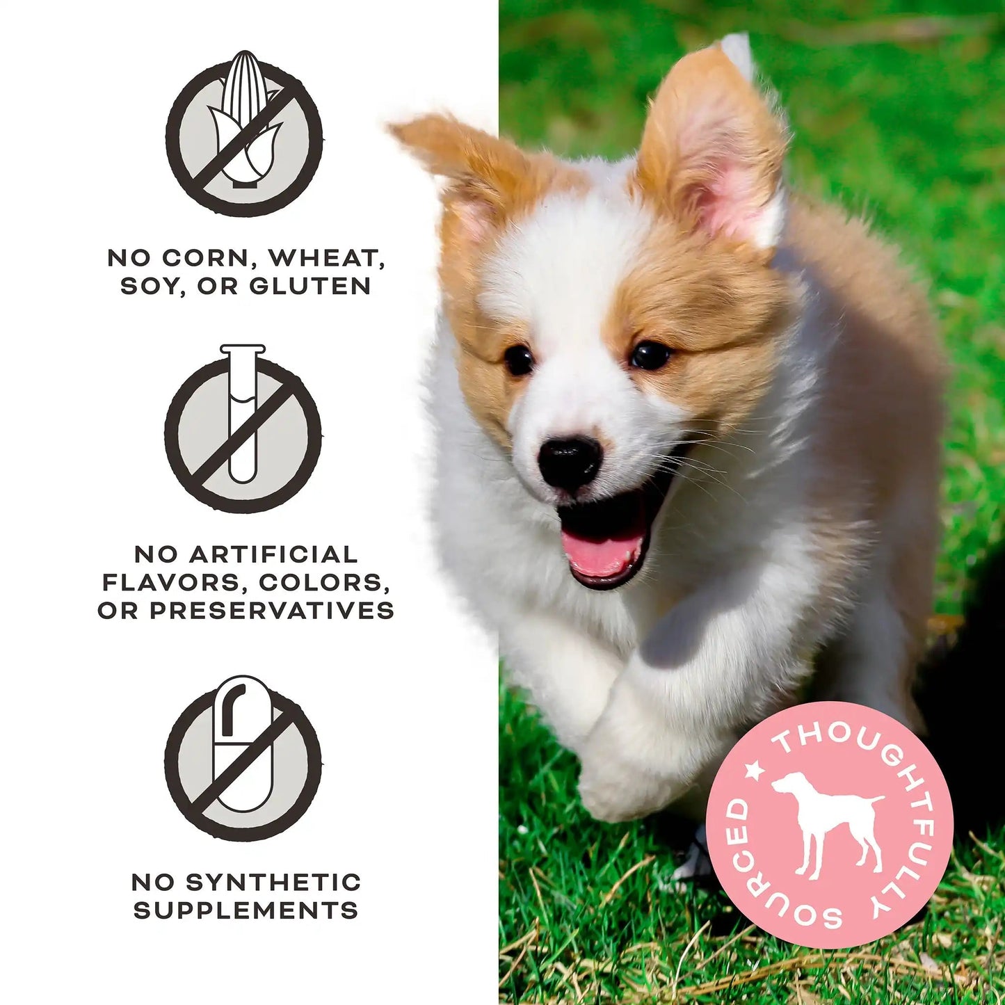 Primal Give Pieces A Chance! Beef Jerky Training Treats 4 oz - Happy Pet