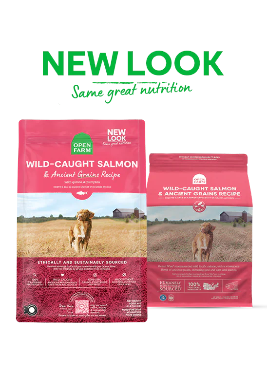 Open Farm Dog Salmon Ancient Grain - Happy Pet