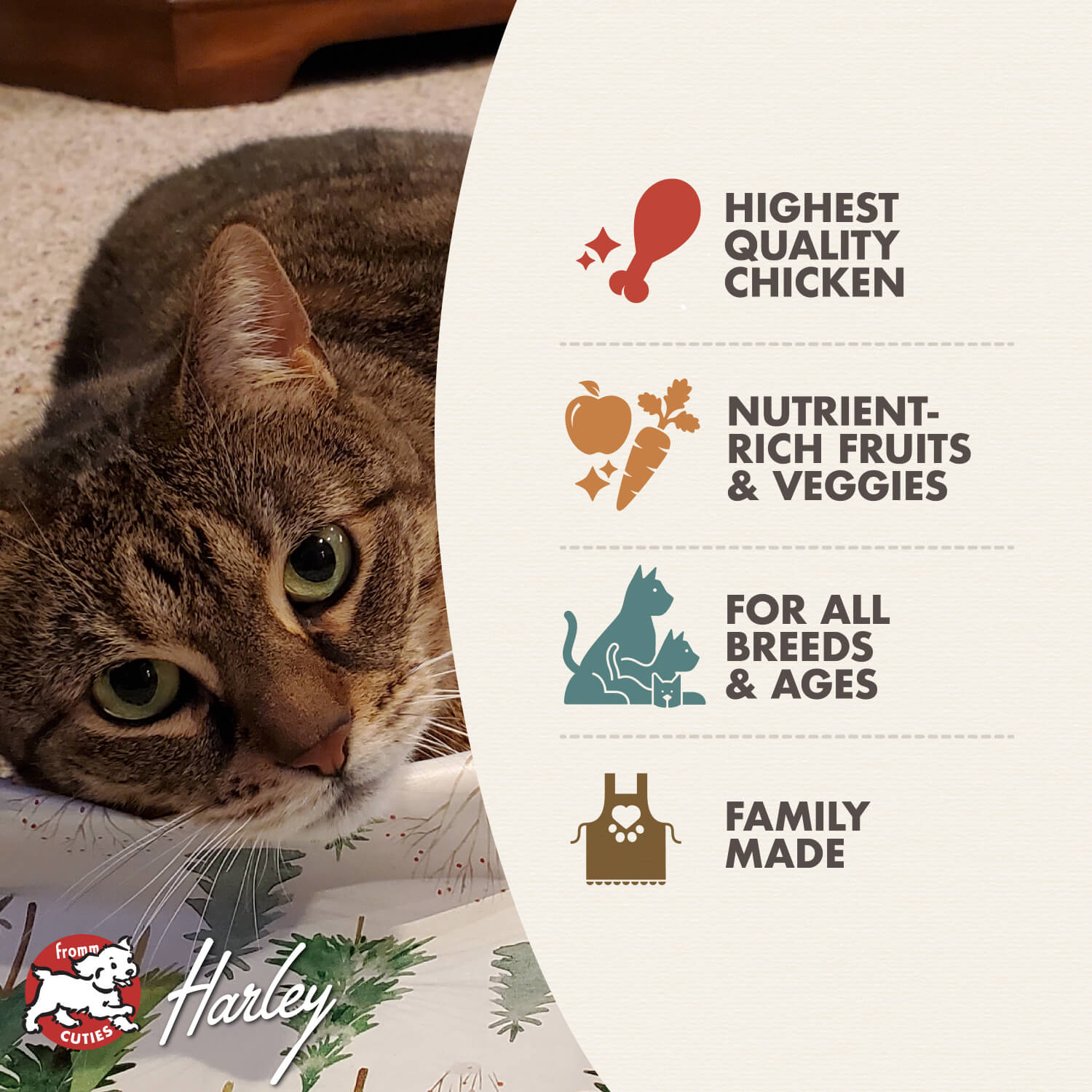 Fromm Cat Chicken A La Veg 4 lbs - Happy Pet