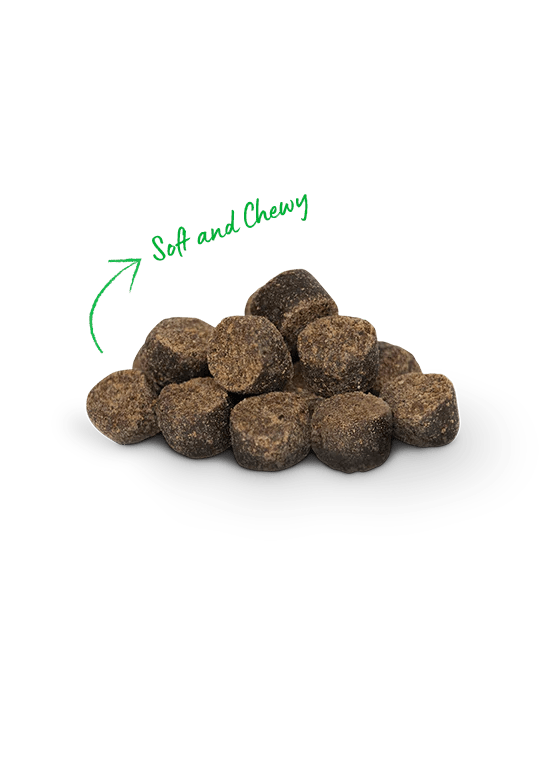 Open Farm Be Good Bites Grass - Fed Beef 6 oz - Happy Pet