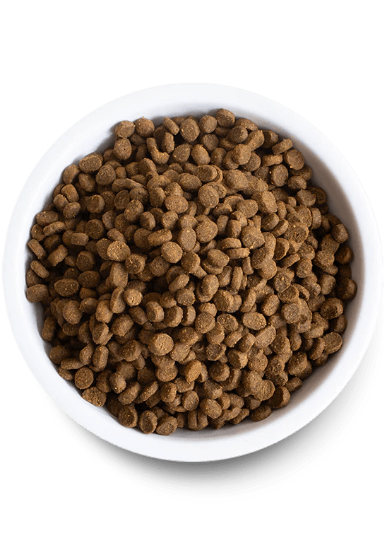 Open Farm Cat Wild - Caught Salmon Grain - Free 2 lbs - Happy Pet