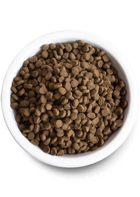 Open Farm Kitten Chicken & Turkey Grain - Free 2 lbs - Happy Pet