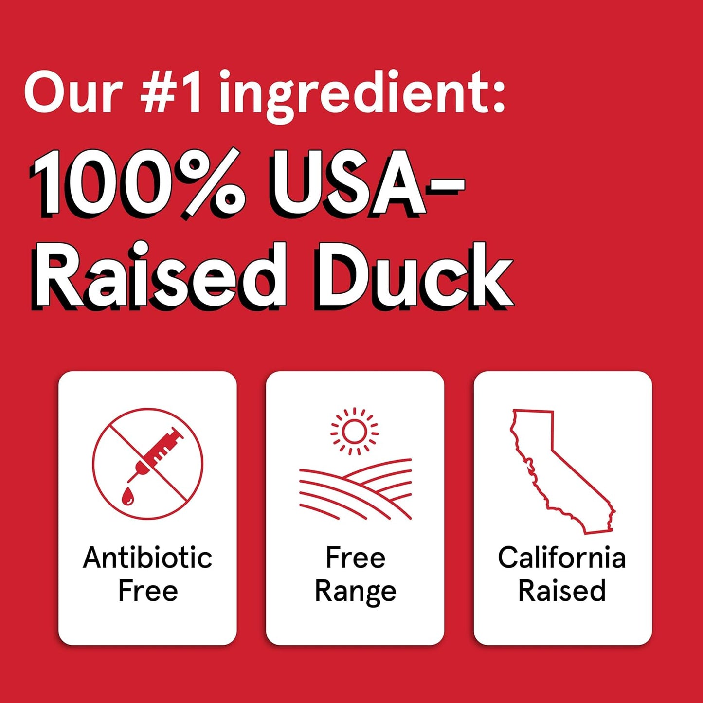 Real Meat Air - Dried Duck Neckers 6 oz - Happy Pet